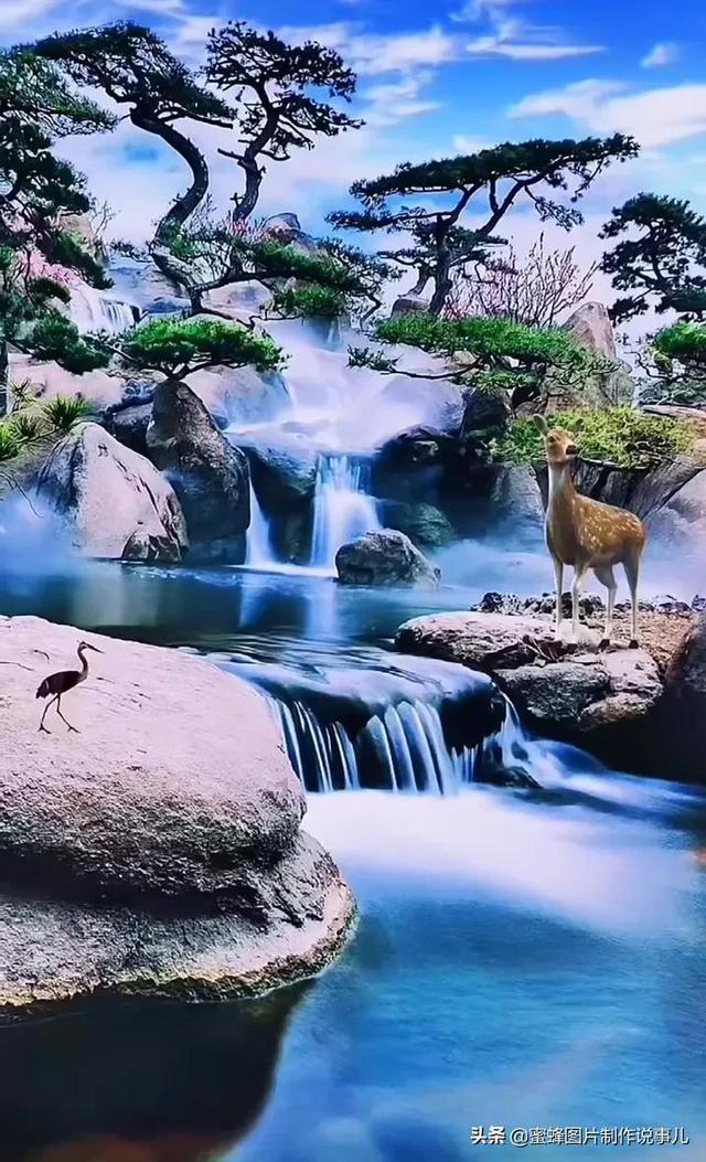 年会,民间综艺的最好表达
